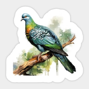 Nicobar Pigeon Sticker